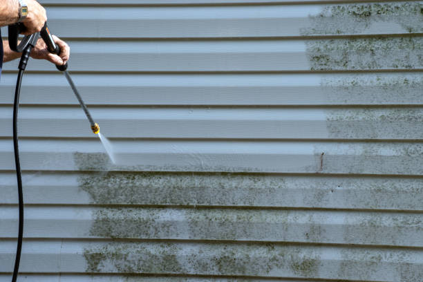 Best Brick Veneer Siding  in Basking Ridge, NJ